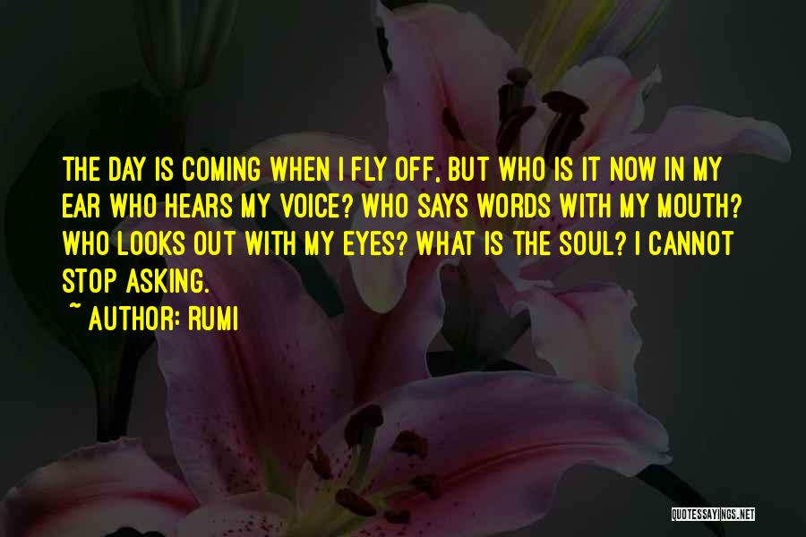 Words Coming Out Of Your Mouth Quotes By Rumi