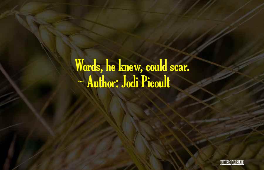 Words Could Hurt Quotes By Jodi Picoult