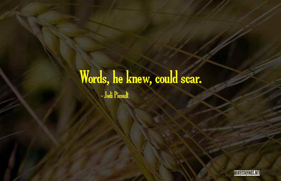 Words Could Hurt Quotes By Jodi Picoult Words Could Hurt Quotes By Jodi Picoult