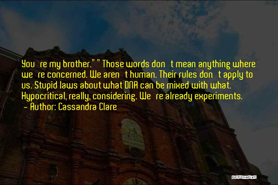 Words Don Mean Anything Quotes By Cassandra Clare