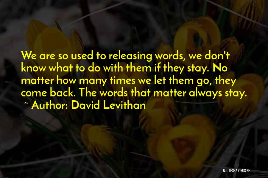 Words Don't Matter Quotes By David Levithan