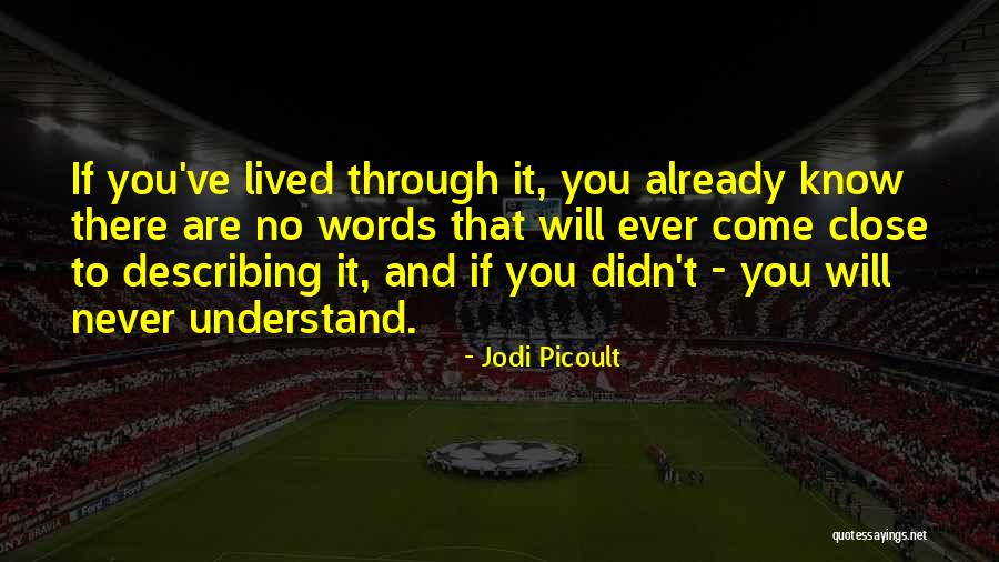 Words For Describing Quotes By Jodi Picoult Words For Describing Quotes By Jodi Picoult
