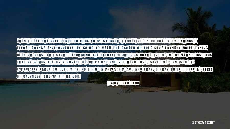 Words For Describing Quotes By Nicholeen Peck Words For Describing Quotes By Nicholeen Peck