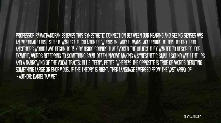 Words For Quotes By Daniel Tammet