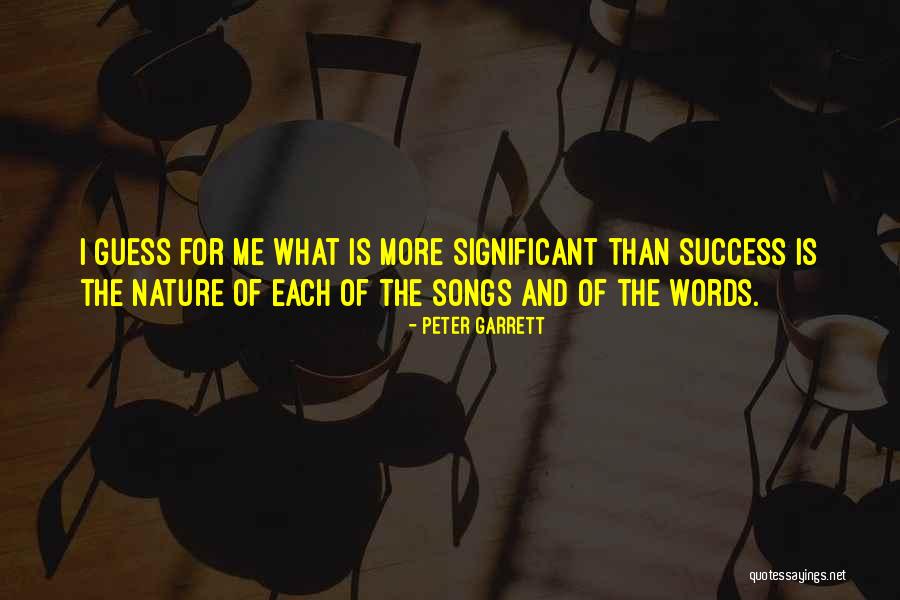 Words For Success Quotes By Peter Garrett