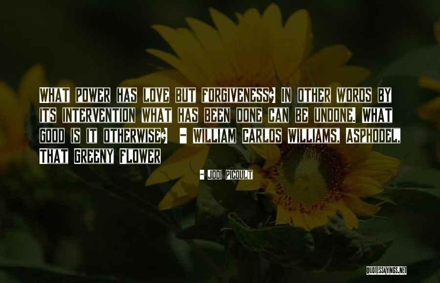 Words Has Power Quotes By Jodi Picoult Words Has Power Quotes By Jodi Picoult