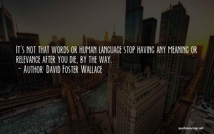 Words Having Meaning Quotes By David Foster Wallace