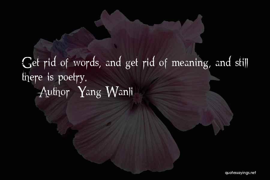 Words Having Meaning Quotes By Yang Wanli