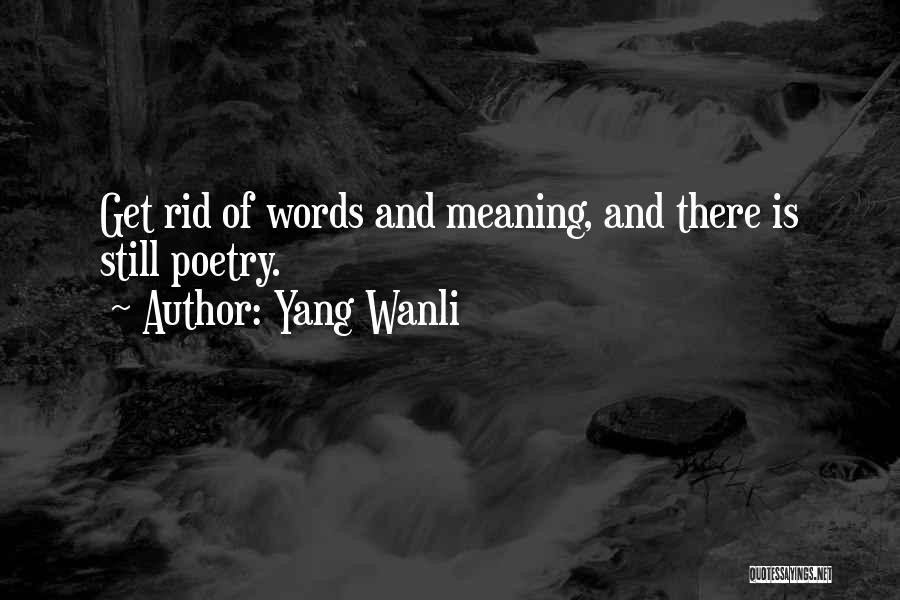 Words Having Meaning Quotes By Yang Wanli