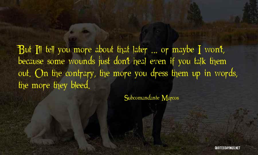 Words Heal Quotes By Subcomandante Marcos Words Heal Quotes By Subcomandante Marcos