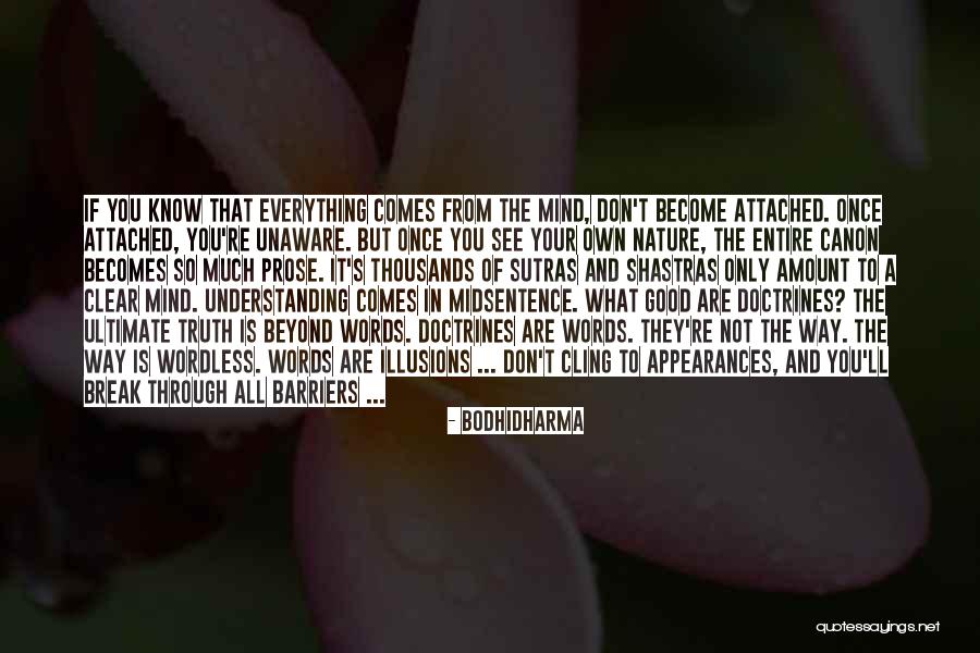 Words Illusions Quotes By Bodhidharma Words Illusions Quotes By Bodhidharma
