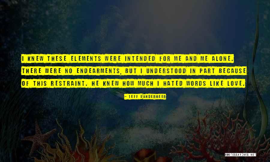 Words In Love Quotes By Jeff VanderMeer