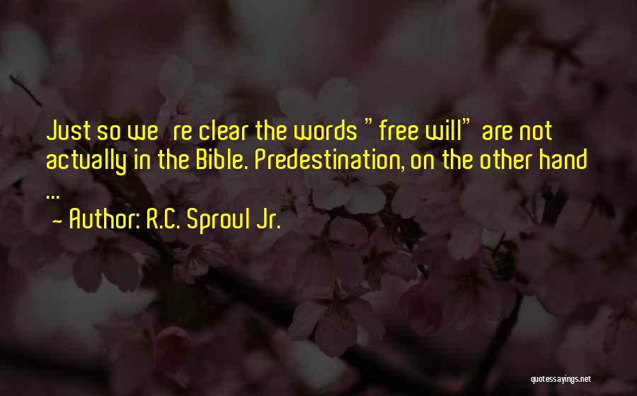 Words In The Bible Quotes By R.C. Sproul Jr.