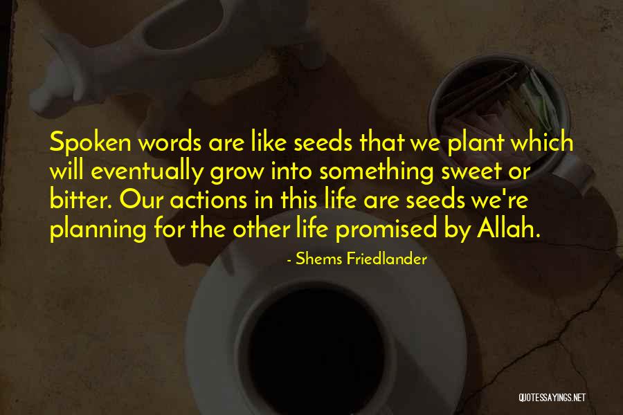 Words Into Actions Quotes By Shems Friedlander