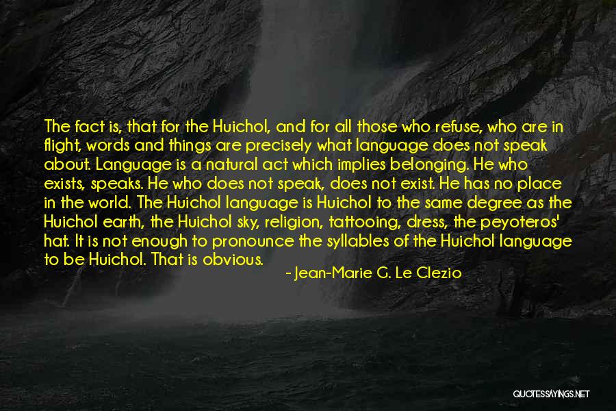 Words Is Not Enough Quotes By Jean-Marie G. Le Clezio