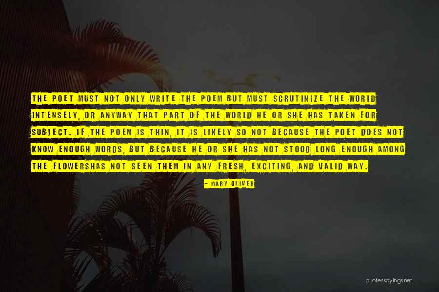 Words Is Not Enough Quotes By Mary Oliver Words Is Not Enough Quotes By Mary Oliver