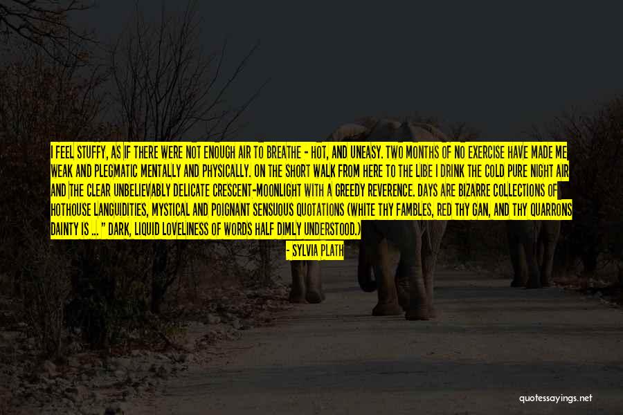 Words Is Not Enough Quotes By Sylvia Plath Words Is Not Enough Quotes By Sylvia Plath