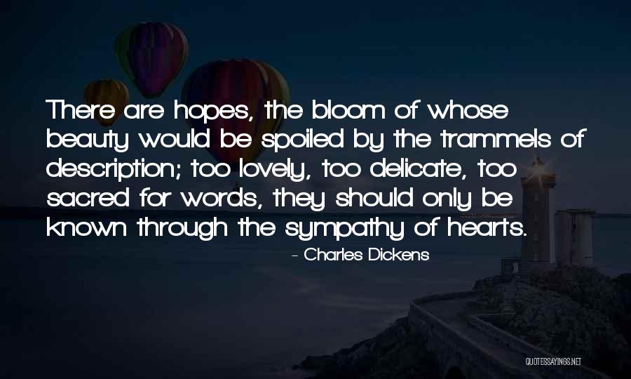 Words Is Sympathy Quotes By Charles Dickens Words Is Sympathy Quotes By Charles Dickens