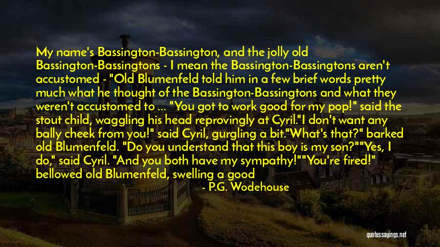 Words Is Sympathy Quotes By P.G. Wodehouse Words Is Sympathy Quotes By P.G. Wodehouse