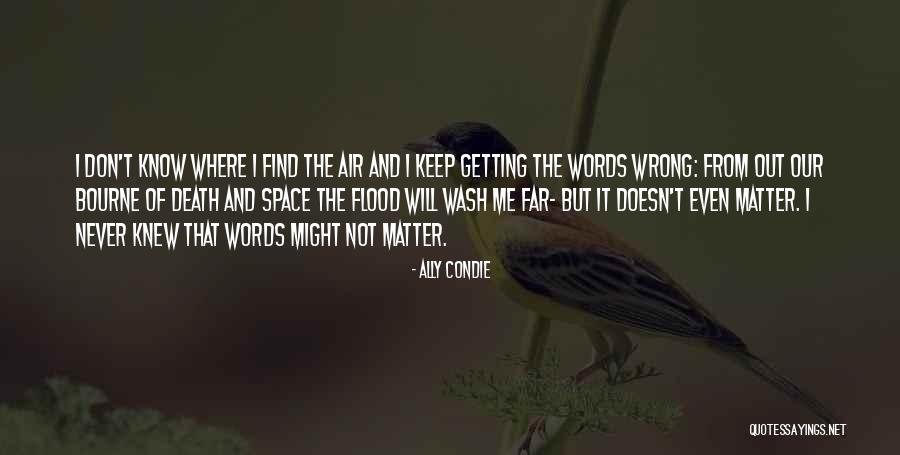 Words Matter Quotes By Ally Condie