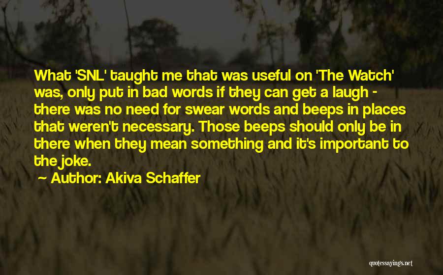 Words Mean Something Quotes By Akiva Schaffer