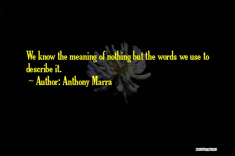Words Meaning Nothing Quotes By Anthony Marra