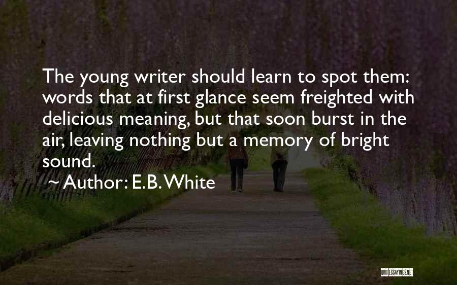 Words Meaning Nothing Quotes By E.B. White