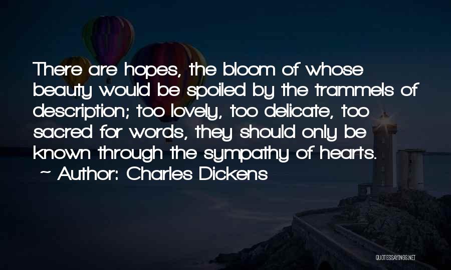 Words Of Sympathy Quotes By Charles Dickens
