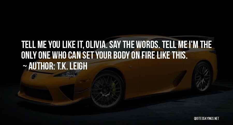 Words On Fire Quotes By T.K. Leigh