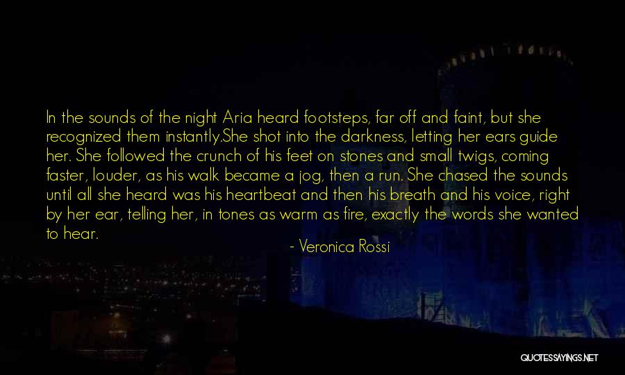 Words On Fire Quotes By Veronica Rossi