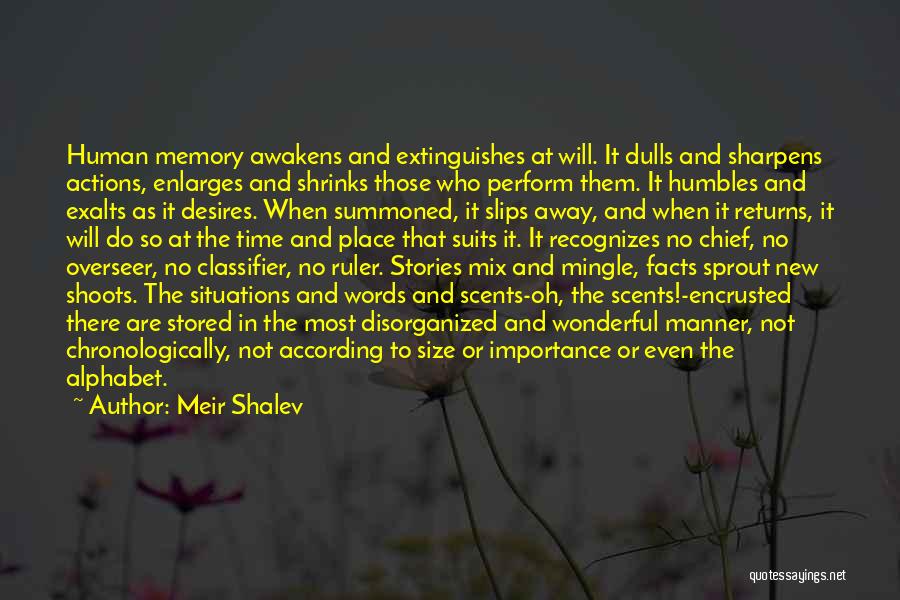 Words Or Actions Quotes By Meir Shalev