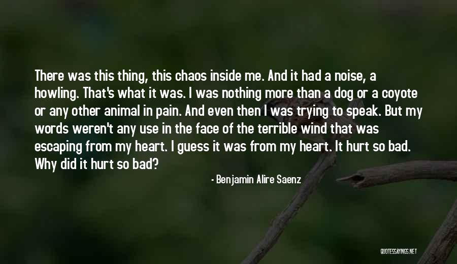 Words That Hurt Me Quotes By Benjamin Alire Saenz Words That Hurt Me Quotes By Benjamin Alire Saenz