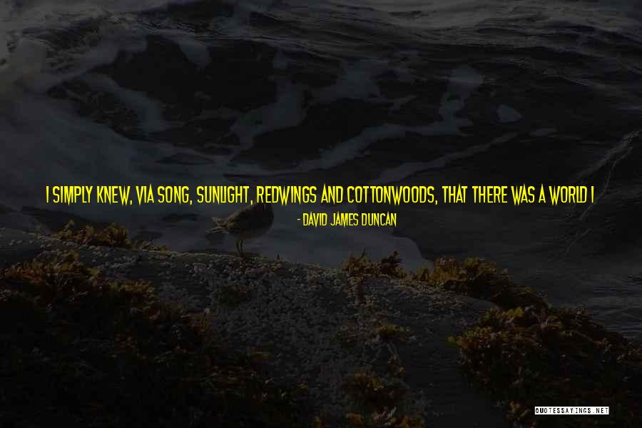 Words That Hurt Me Quotes By David James Duncan Words That Hurt Me Quotes By David James Duncan