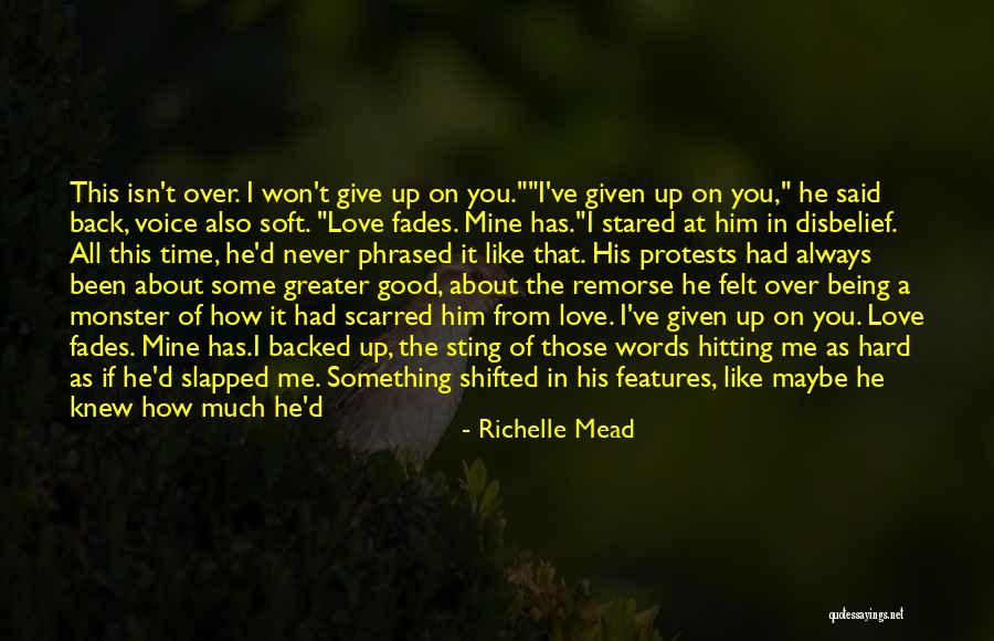 Words That Hurt Me Quotes By Richelle Mead Words That Hurt Me Quotes By Richelle Mead