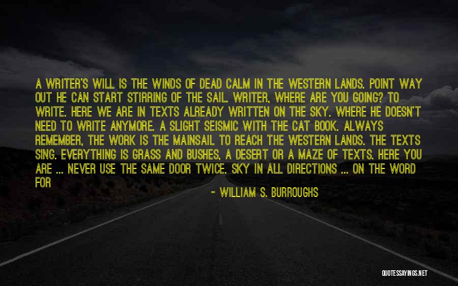 Words They Use When They Write Quotes By William S. Burroughs Words They Use When They Write Quotes By William S. Burroughs