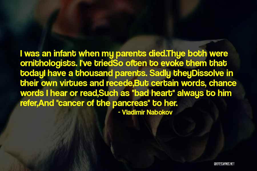 Words Which Refer Quotes By Vladimir Nabokov Words Which Refer Quotes By Vladimir Nabokov