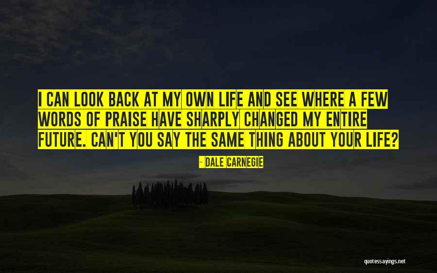 Words You Can't Say Quotes By Dale Carnegie