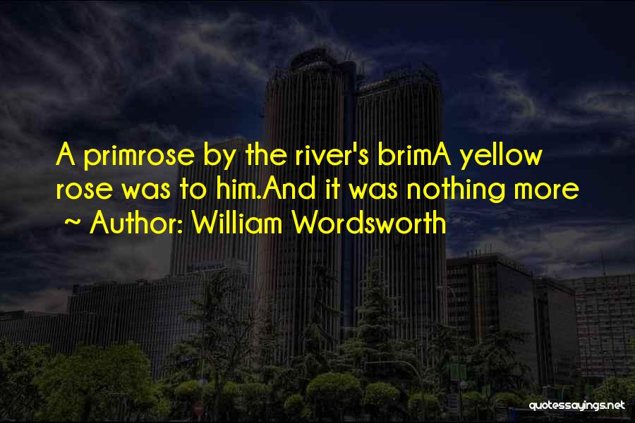 Wordsworth Quotes By William Wordsworth