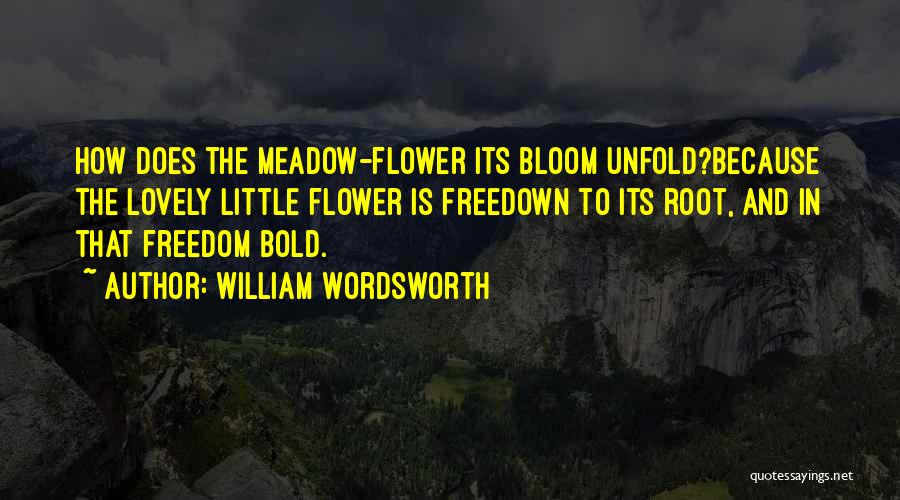 Wordsworth's Quotes By William Wordsworth