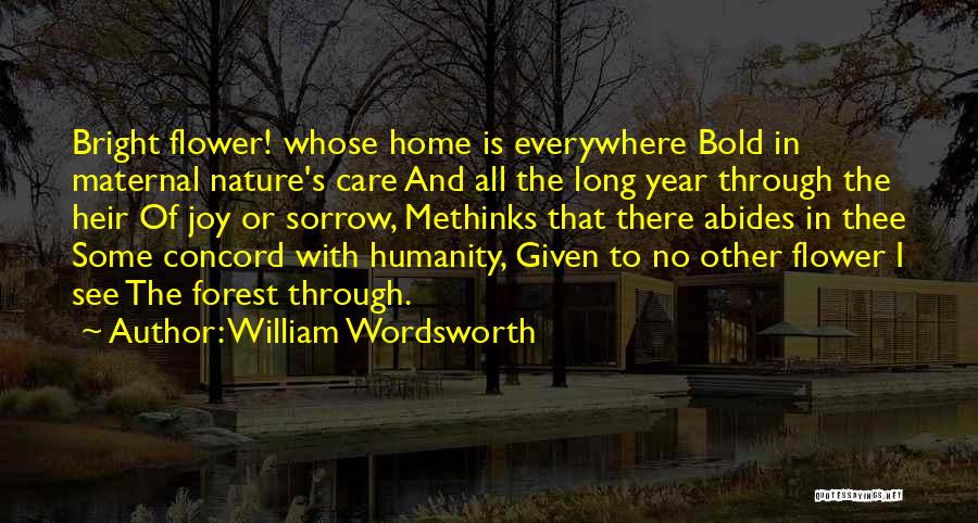 Wordsworth's Quotes By William Wordsworth