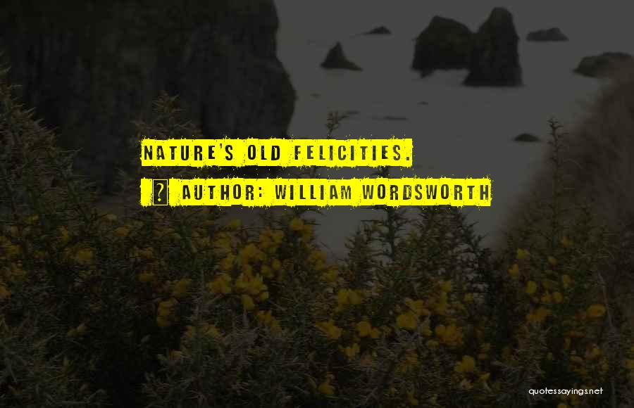 Wordsworth's Quotes By William Wordsworth