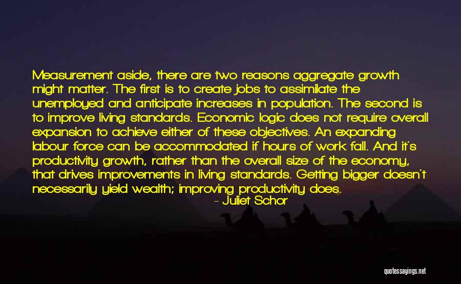 Work And Leisure Quotes By Juliet Schor Work And Leisure Quotes By Juliet Schor
