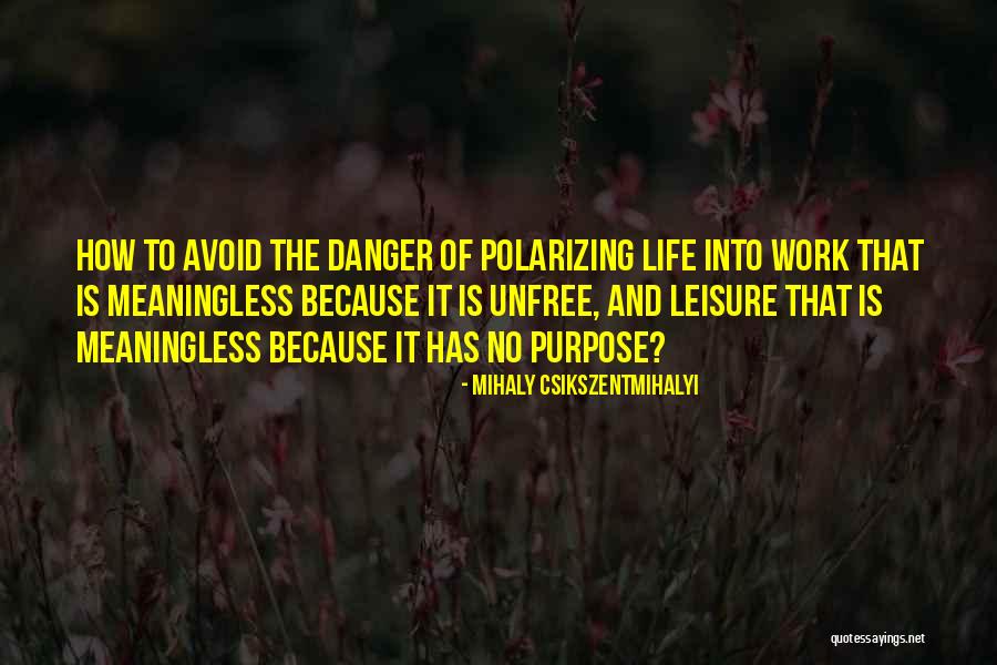 Work And Leisure Quotes By Mihaly Csikszentmihalyi Work And Leisure Quotes By Mihaly Csikszentmihalyi
