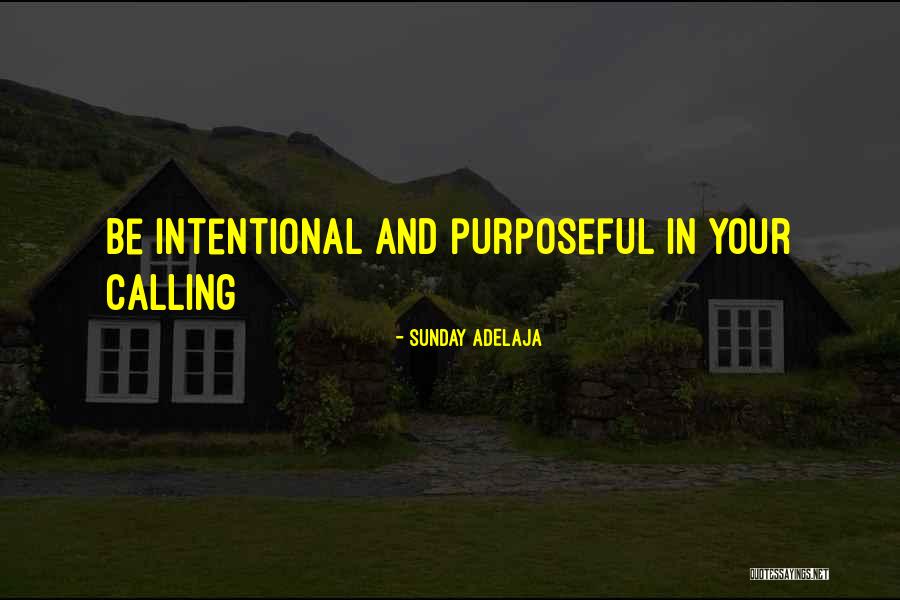 Work And Purpose Quotes By Sunday Adelaja