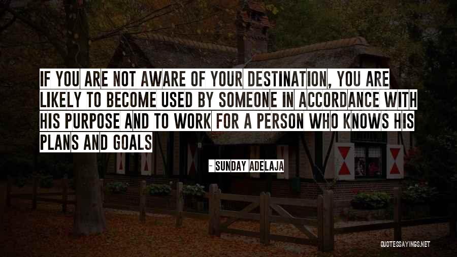 Work And Purpose Quotes By Sunday Adelaja