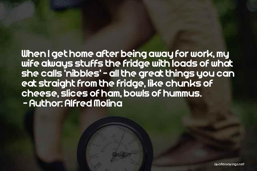 Work Away From Home Quotes By Alfred Molina