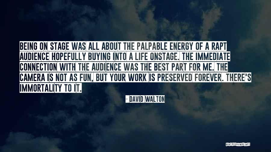 Work Being Fun Quotes By David Walton Work Being Fun Quotes By David Walton