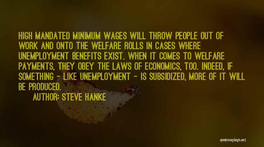 Work Benefits Quotes By Steve Hanke