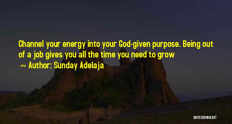 Work Development Quotes By Sunday Adelaja