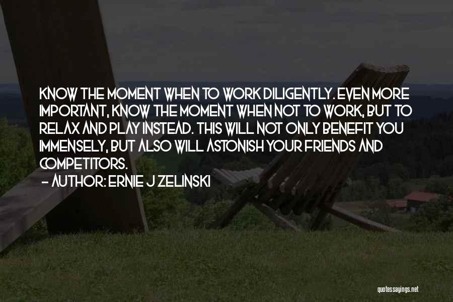 Work Diligently Quotes By Ernie J Zelinski